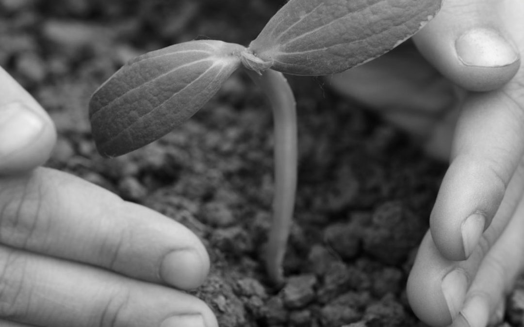 LA NATURA ALLEATA, PER BARBARA E PER IL SUO PARKINSON