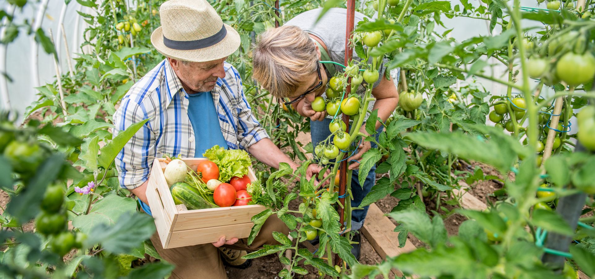 Parkinson e hobby: il giardinaggio